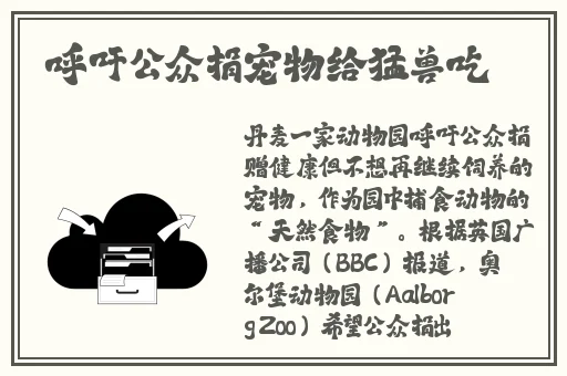 桃红色jeep界九狐